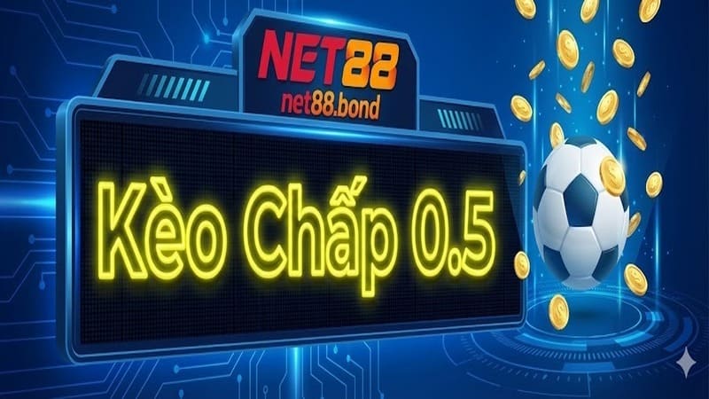 Giải mã chi tiết về kèo chấp 0.5 là gì?